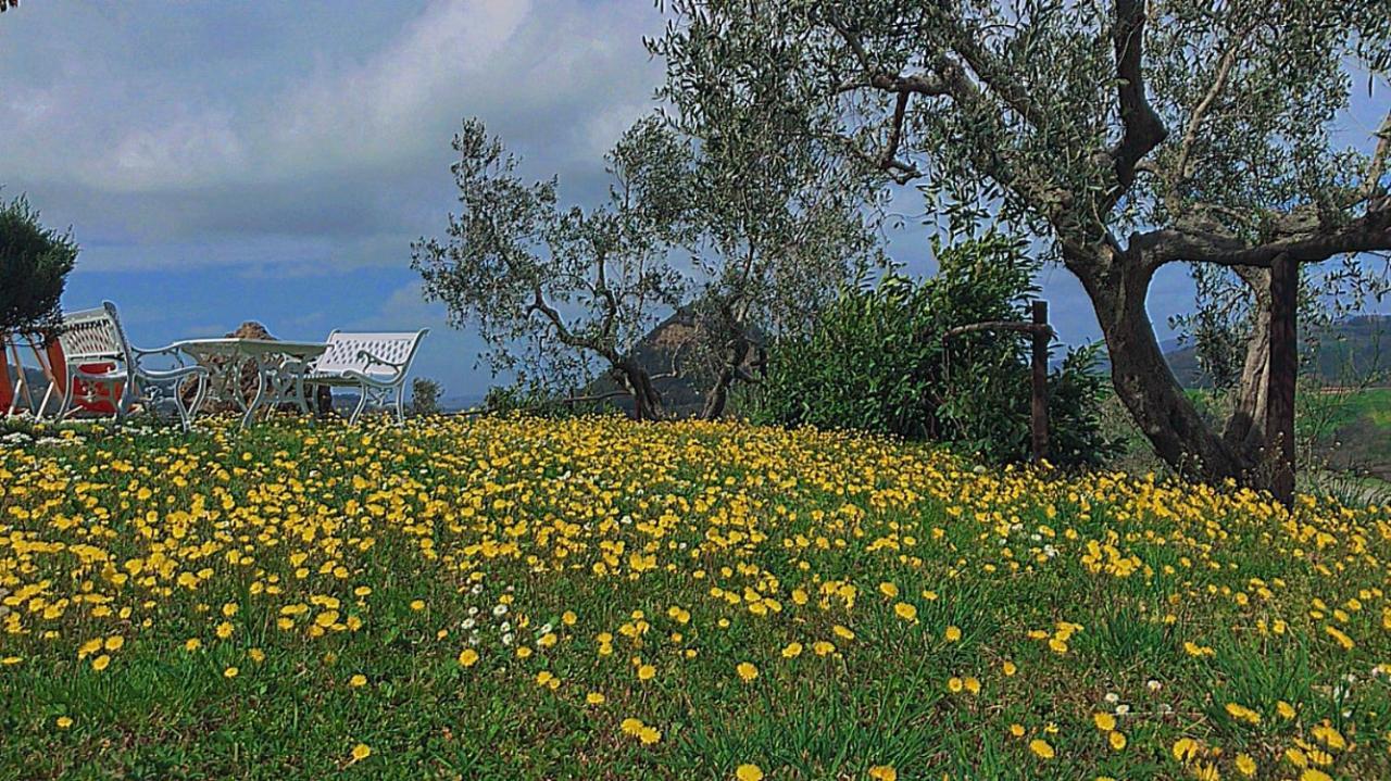 Agriturismo Villa Felice Вольтерра Экстерьер фото